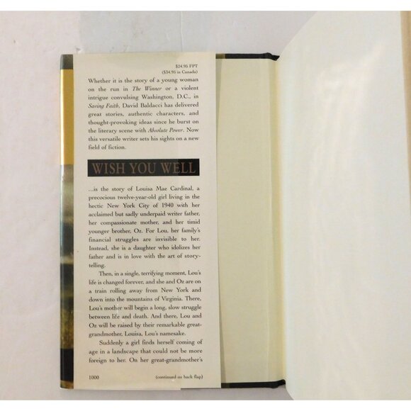 Wish You Well By David Baldacci 2000 Hardcover Dust Jacket Virginia Coal Mines - Picture 3 of 5